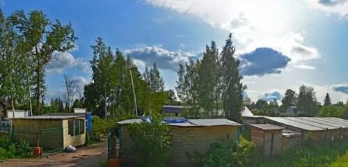 Капуста ул александра матросова 19 фото Отзывы о "Павловский питомник", Россия, Санкт-Петербург, Пушкинский район, Павло