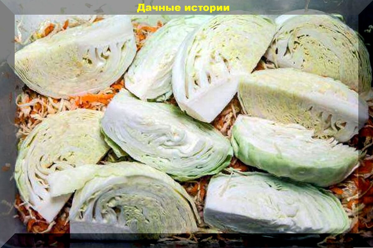 Капуста в домашних условиях рецепт фото Как на Руси квасили капусту: старинные, деревенские рецепты квашения капусты и в