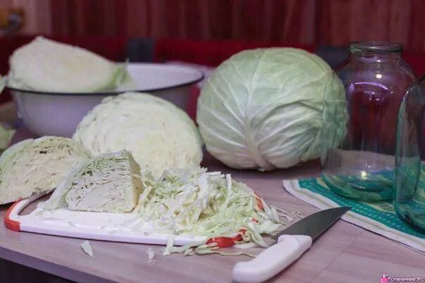 Капуста в домашних условиях рецепт фото For sale cabbage for quashing, Sorta Paurovo, Megaton and Atria. Still at the ro