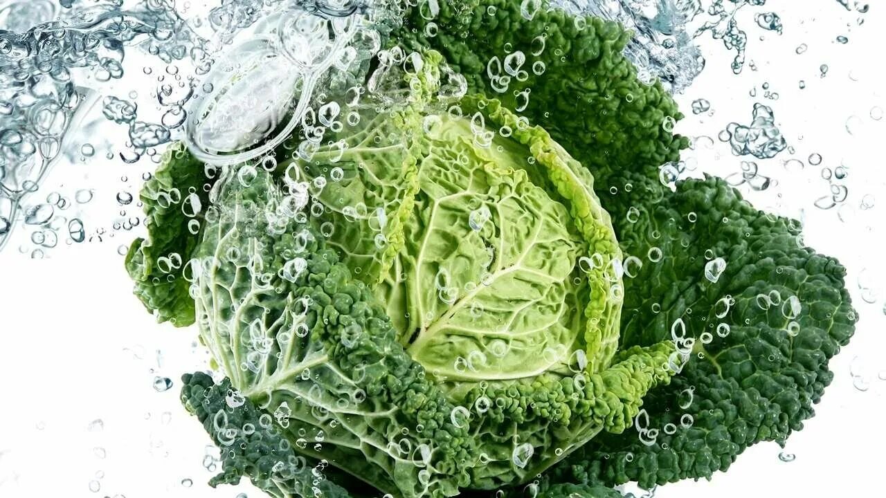 Капуста в воде фото Капуста свежая - купить по низкой цене на Яндекс Маркете