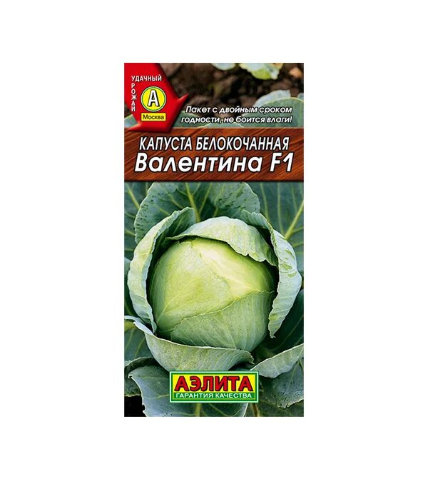 Капуста валентина описание фото Капуста белокочанная Валентина F1 Аэлита - купить в Владимире: цена за штуку, ха