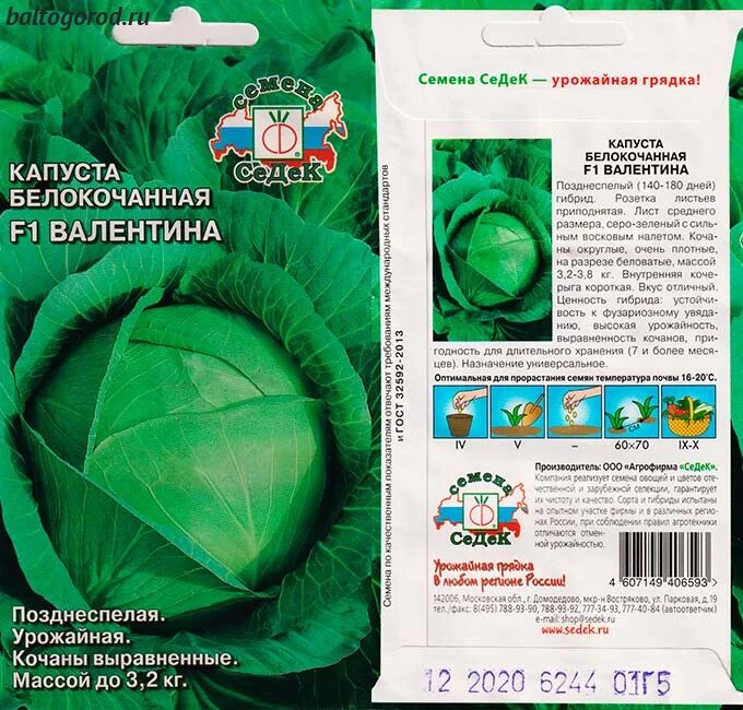 Капуста валентина описание отзывы фото Капуста валентина описание сорта Фитостудия-63.ру