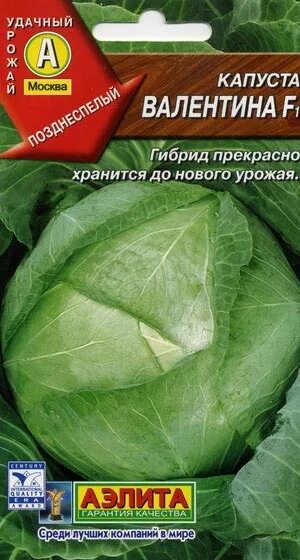 Капуста валентина описание отзывы фото Семена оптом, семена в розницу; лук севок оптом, лук севок в розницу; Семена и С