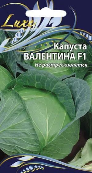 Капуста валентина описание сорта фото Совместные покупки - Нижний Новгород - Капуста б/к Валентина F1 0,2гр. цв.п. ВХ 