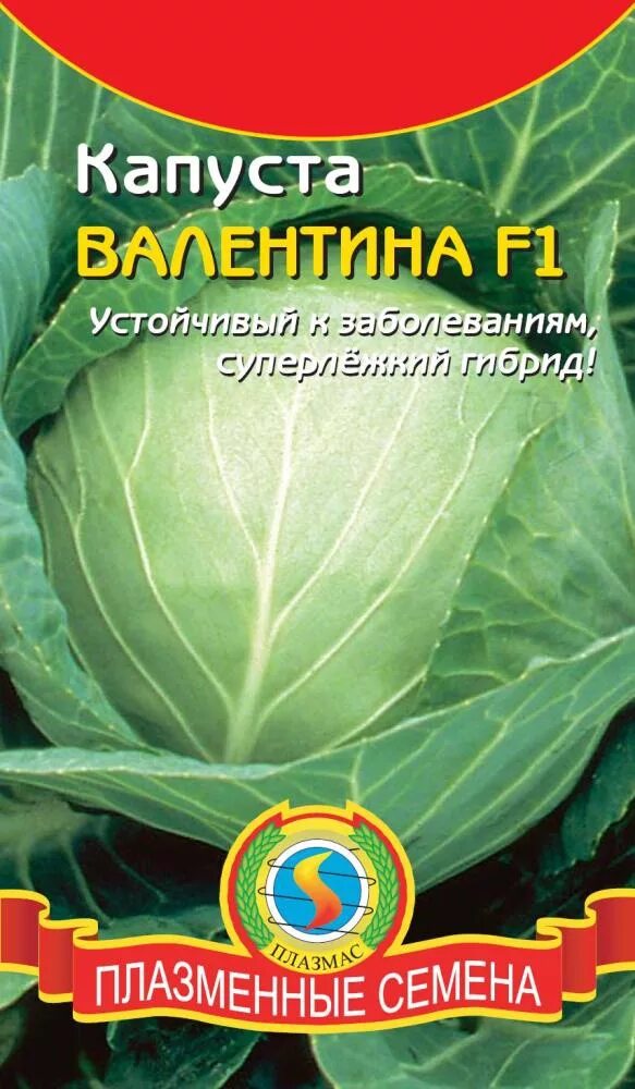Капуста валентина описание сорта фото Семена Капуста б/к F1 Валентина: описание сорта, фото - купить с доставкой или п