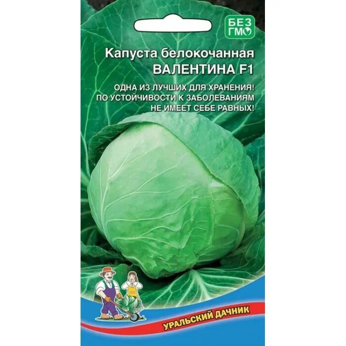 Капуста валентина описание сорта фото Капуста Валентина 0.1г