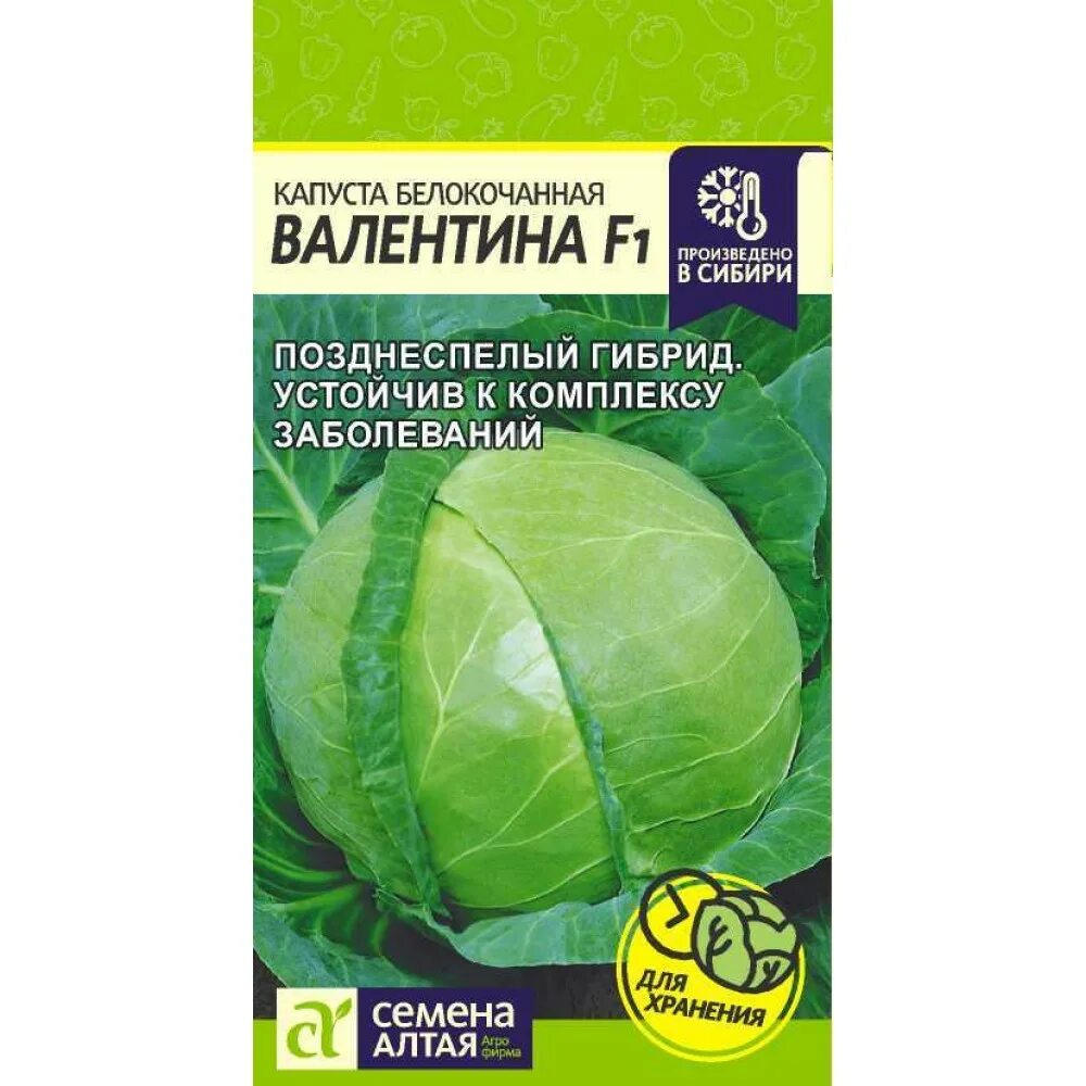 Капуста валентина описание сорта фото Купить - Капуста Валентина F1/Сем Алт/цп 0,1 гр.. Alsemya.ru - интернет магазин 