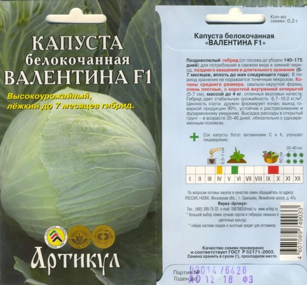 Капуста валентина описание сорта фото Капуста Валентина: опис сорту, фото, відгуки