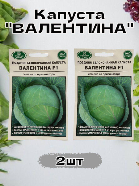 Капуста валентина описание сорта фото отзывы Капуста, Редис Овощи и зелень - купить по выгодным ценам в интернет-магазине OZO