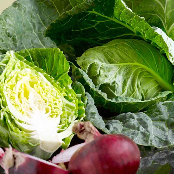 Капуста весенняя фото Cabbage 'Wheelers Imperial' - Seeds Suttons