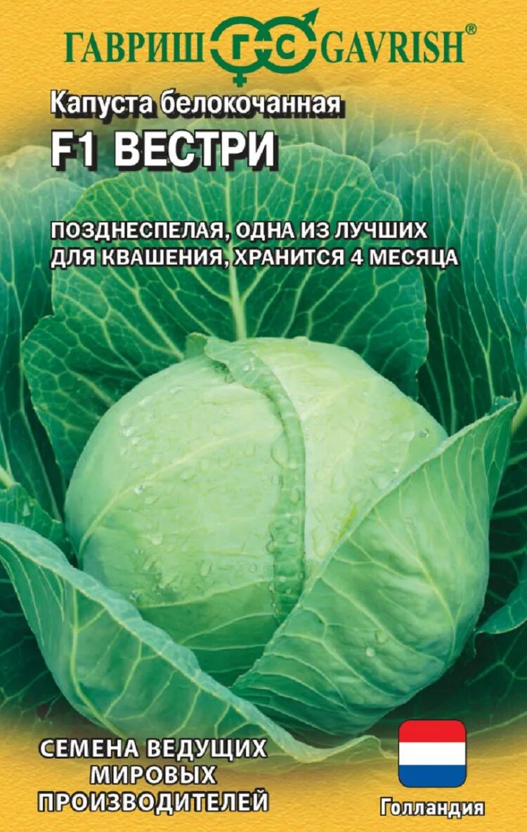 Капуста вестри описание сорта фото ✔ Семена Капуста белокочанная Вестри F1, 10шт, Гавриш, Ведущие мировые производи