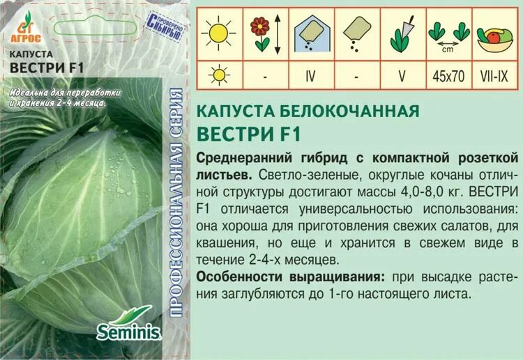 Капуста вестри описание сорта фото отзывы Семена Капуста б/к Вестри F1: описание сорта, фото - купить с доставкой или почт