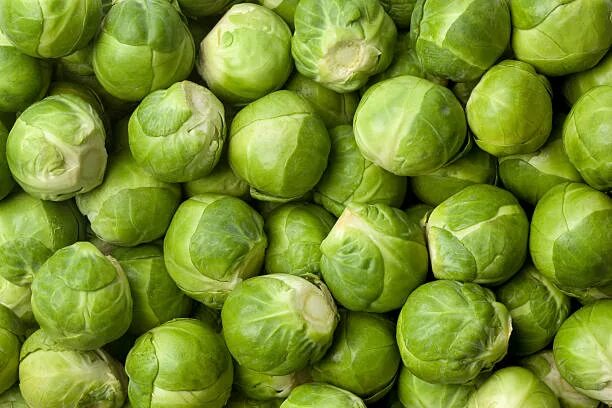 Капуста виды фото брюссельская Капуста брюссельская Вrussels sprouts Roodnerf - купить семена в интернет-магази