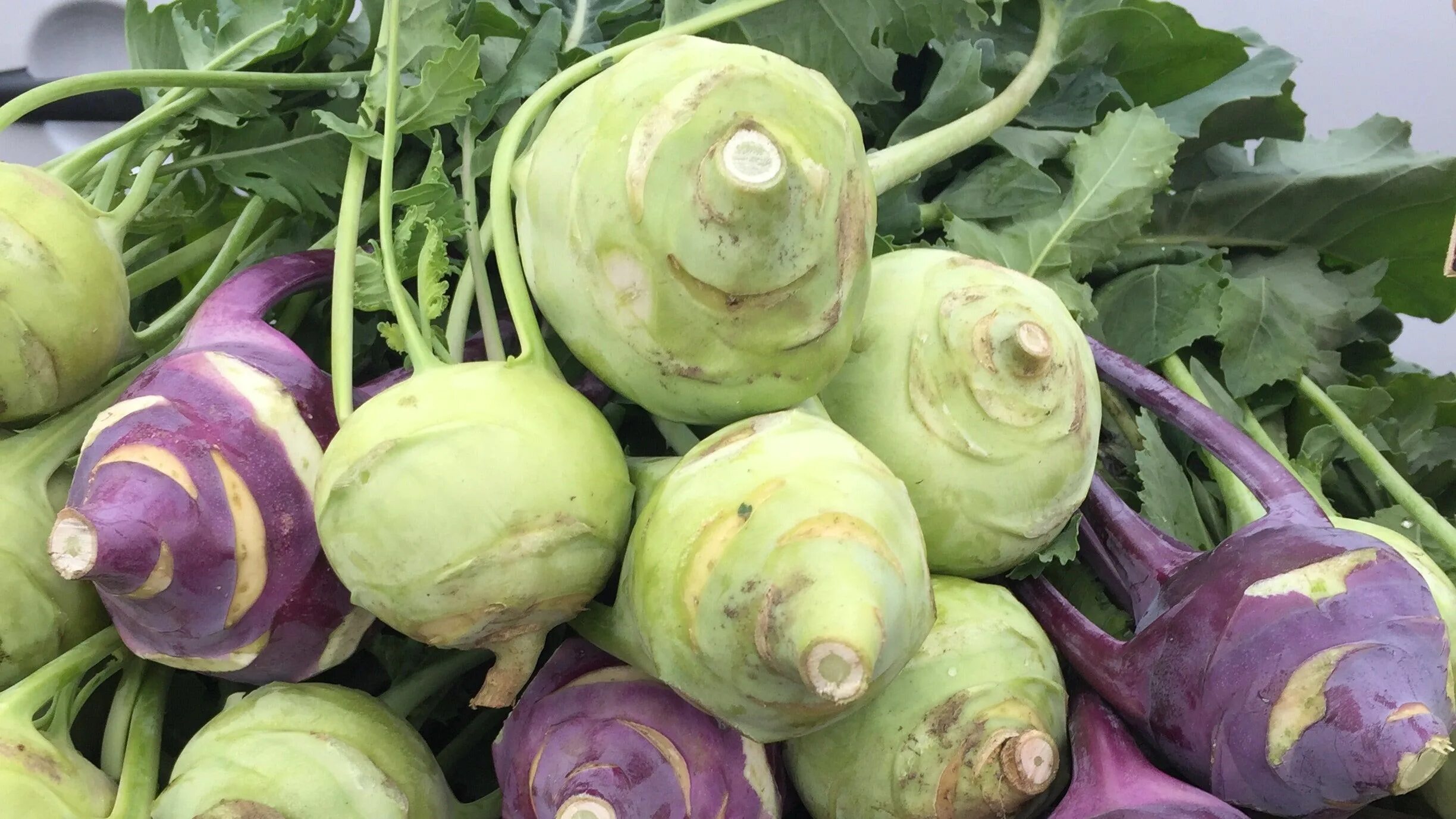 Капуста виды фото с названиями кольраби Purple Vienna Kohlrabi Recipes Sante Blog Kohlrabi recipes, Kohlrabi, Cabbage va
