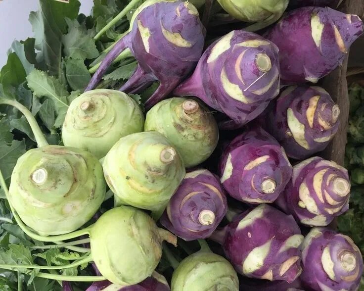 Капуста виды и сорта фото с названиями Yes, You Can Eat That: How to Cook With Kohlrabi From the Market Kohlrabi, Veget