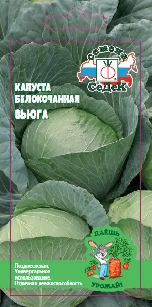 Капуста вьюга фото Капуста Вьюга оптом и в розницу - купить семена Даешь урожай с доставкой почтой 