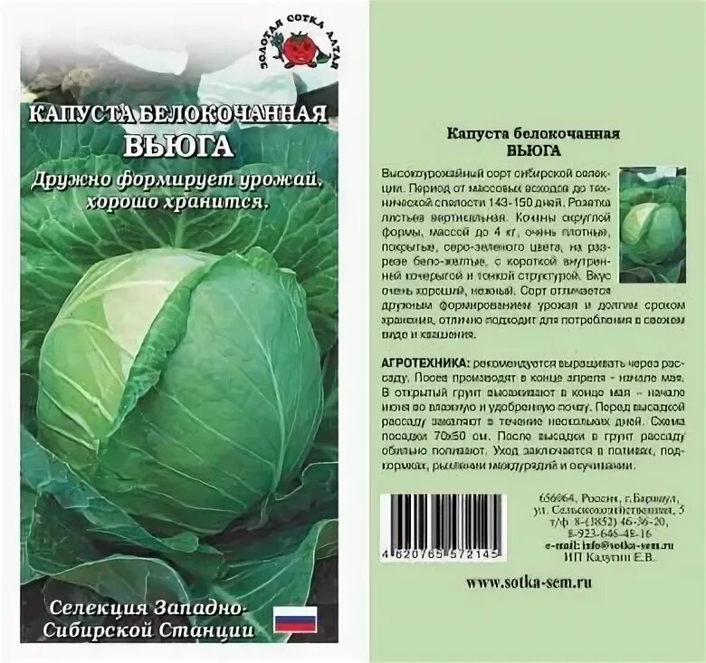 Капуста вьюга описание фото Вьюга капуста описание фото - DelaDom.ru