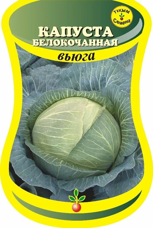 Капуста вьюга описание фото Капуста б/к поздняя Вьюга (сем. Россия) 0,3 г.