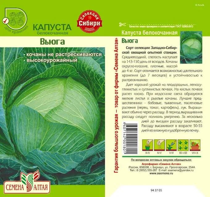 Капуста вьюга описание фото Капуста Вьюга/Сем Алт/цп 0,5 гр. Сибирская Селекция! Цена за 2 пакетика. Семена 