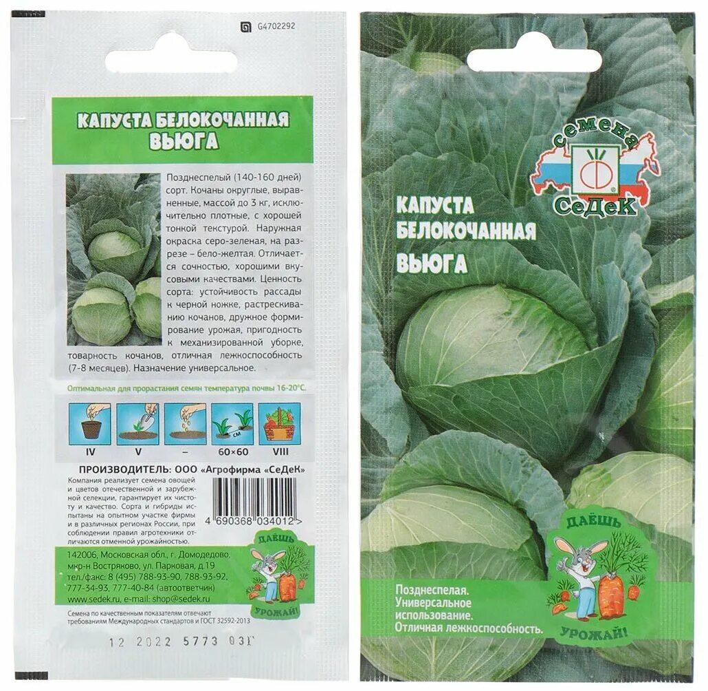 Капуста вьюга описание фото Семена Капуста белокочанная, Вьюга, 0.3 г, Седек - купить в интернет-магазине по