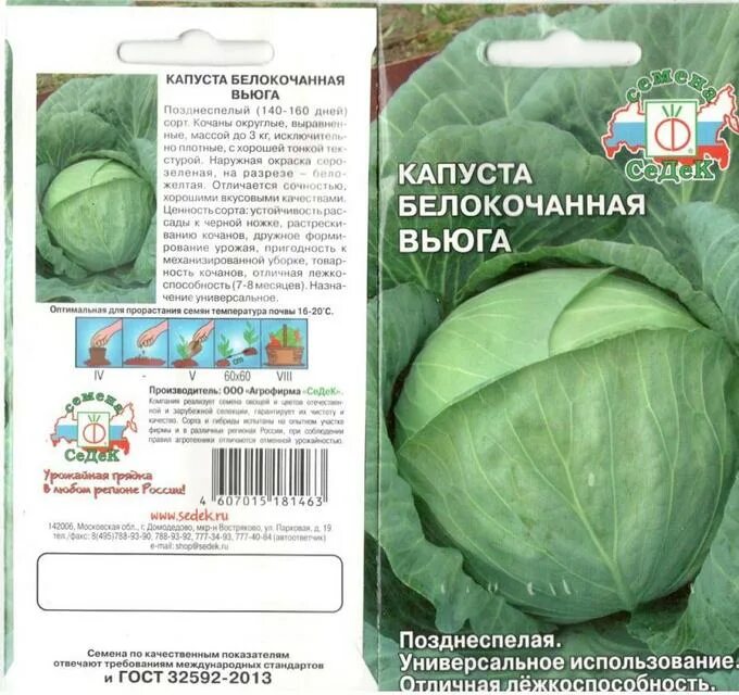 Капуста вьюга описание фото Капуста ВЬЮГА б/к 0,5г СЕДЕК Капуста. Семена овощей