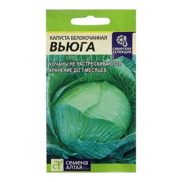 Капуста вьюга описание фото china Капусты белокочанной Вьюга, Сем. Алт, ц.п, 0,5 г 5 упаков. - купить по выг