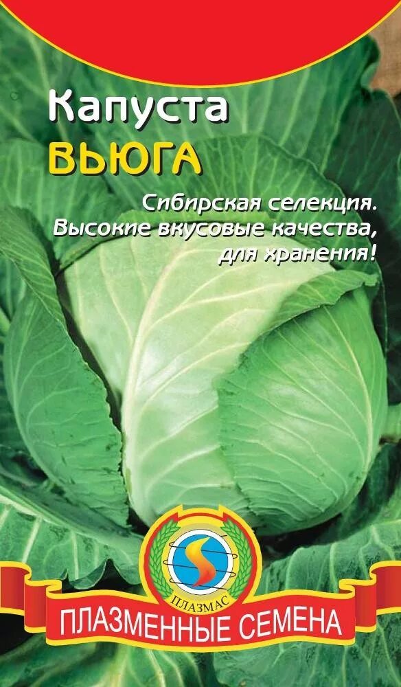 Капуста вьюга описание сорта фото Капуста б/к Вьюга - с бесплатной доставкой можно купить в интернет магазине семя