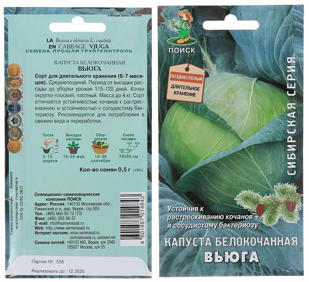 Капуста вьюга описание сорта фото Семена Капуста белокочанная, Вьюга, 0.5 г, Сибирская, цветная упаковка, Поиск - 