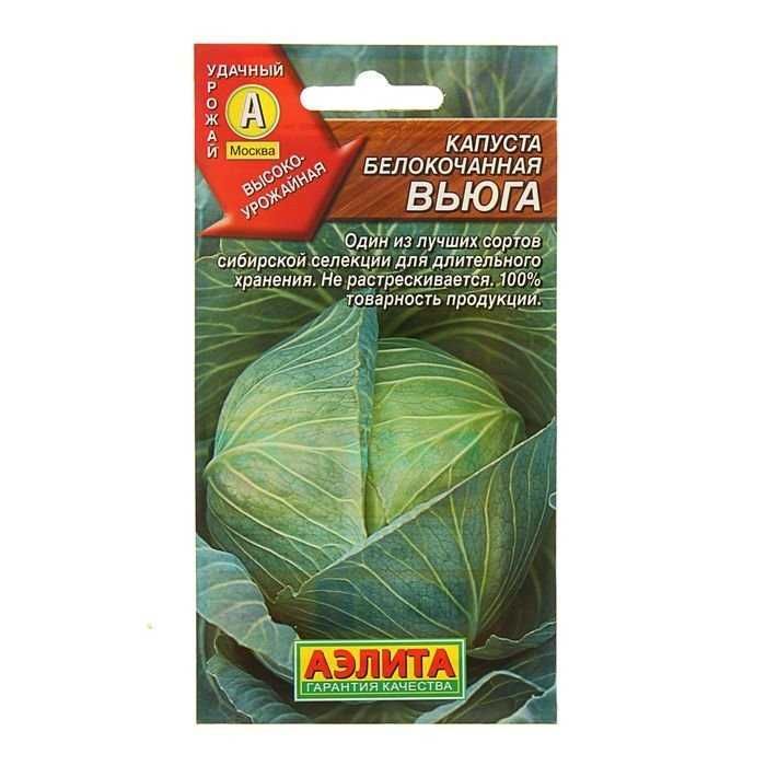 Капуста вьюга описание сорта фото Капуста Аэлита НаборСемянТоматовАэлита1 - купить по выгодным ценам в интернет-ма
