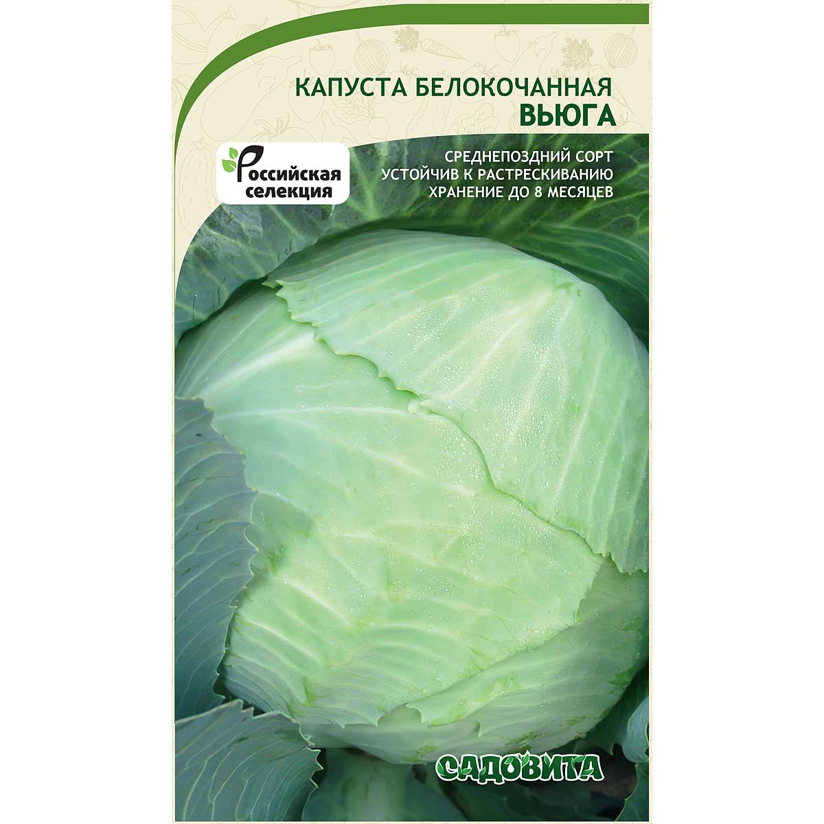 Капуста вьюга описание сорта фото отзывы Купить Семена Капуста белокочанная "Вьюга" Садовита 0,3гр Ц в интернет-магазине 