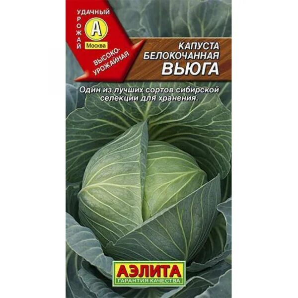 Капуста вьюга описание сорта фото отзывы садоводов Капуста белокочанная Вьюга 0,3 гр (семена) - купить семена по низкой цене за 17 