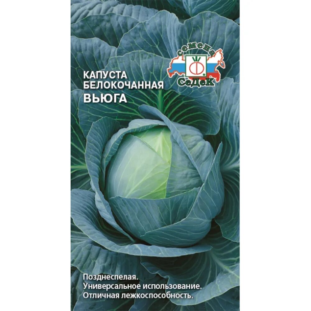 Капуста вьюга описание сорта фото отзывы садоводов Семена овощных культур в интернет-магазине Усадьба