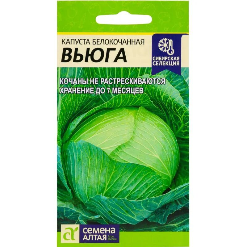 Капуста вьюга описание сорта фото отзывы садоводов Семена Капуста Сибирская селекция "Вьюга", 0.5 г - купить в Алматы по цене 100 т