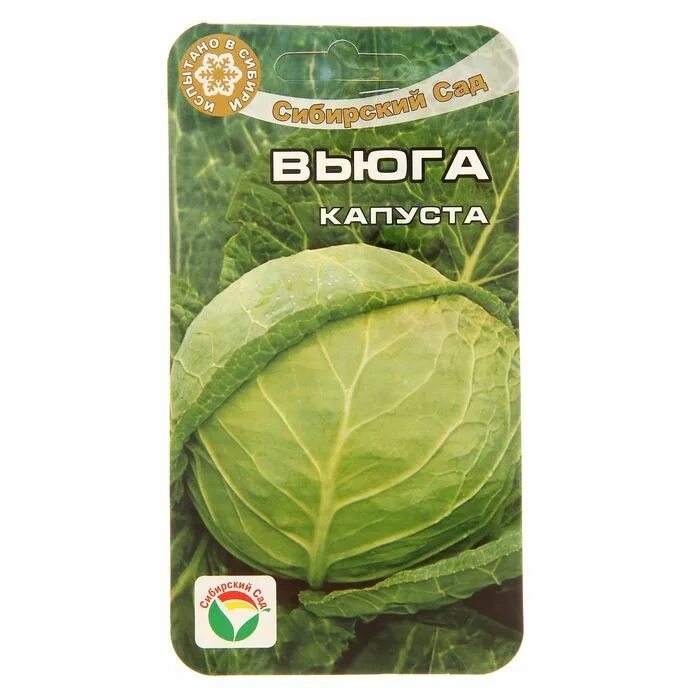 Капуста вьюга отзывы фото Семена Капуста Вьюга, 0,3 г - купить оптом и в розницу в Москве, Санкт-Петербург