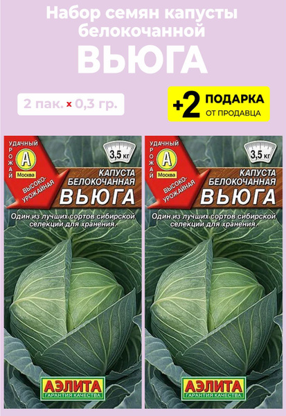 Капуста вьюга отзывы фото Капуста Проверенные семена Капуста Вьюга - купить по выгодным ценам в интернет-м