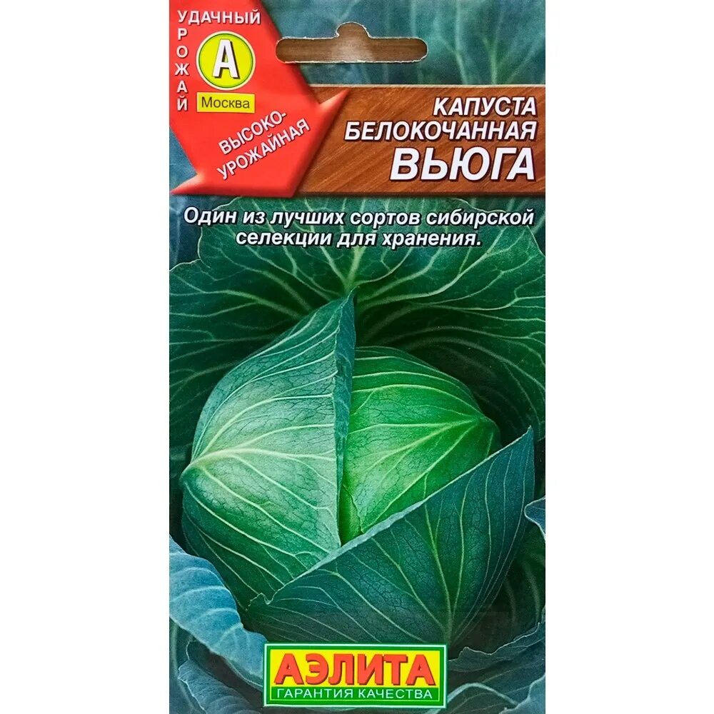 Капуста вьюга отзывы фото Купить Капуста б/к Вьюга недорого по цене 24руб.Garden-zoo.ru