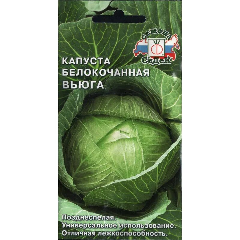 Капуста вьюга отзывы фото Капуста вьюга: описание сорта, отзывы, фото и характеристики