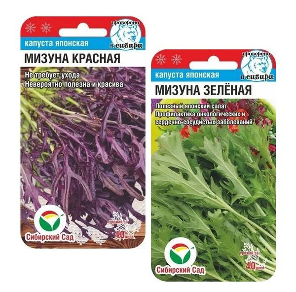 Капуста японская мизуна фото и описание Капуста Сибирский сад Капуста СибСад - купить по выгодным ценам в интернет-магаз