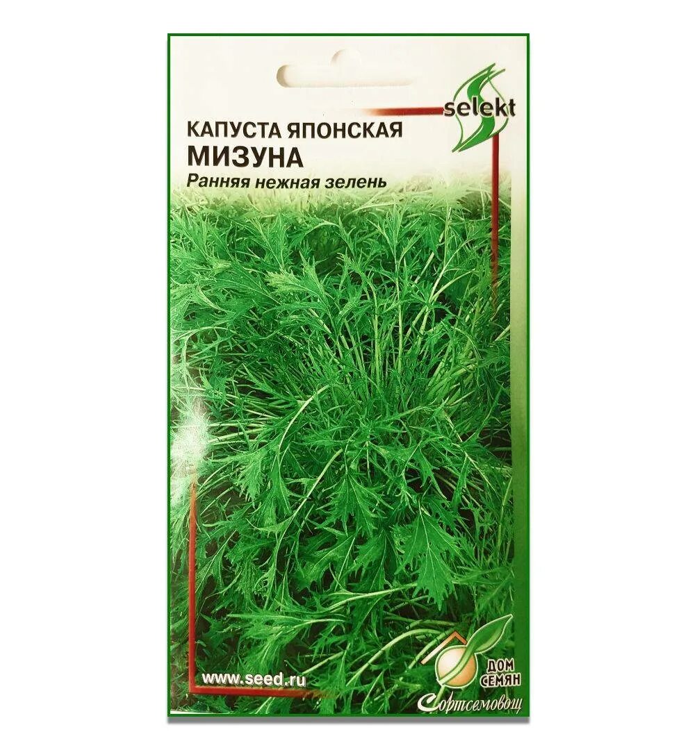Капуста японская мизуна фото и описание Капуста мизуна CoffMachines.ru