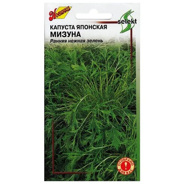 Капуста японская мизуна отзывы фото Капуста японская Мизуна зеленая 300шт (zakazkz) - купить по выгодным ценам в инт