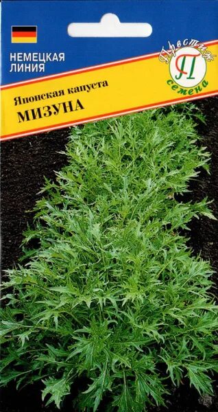 Капуста японская мизуна отзывы фото Капуста Престиж семена 406853-1 - купить по выгодным ценам в интернет-магазине O