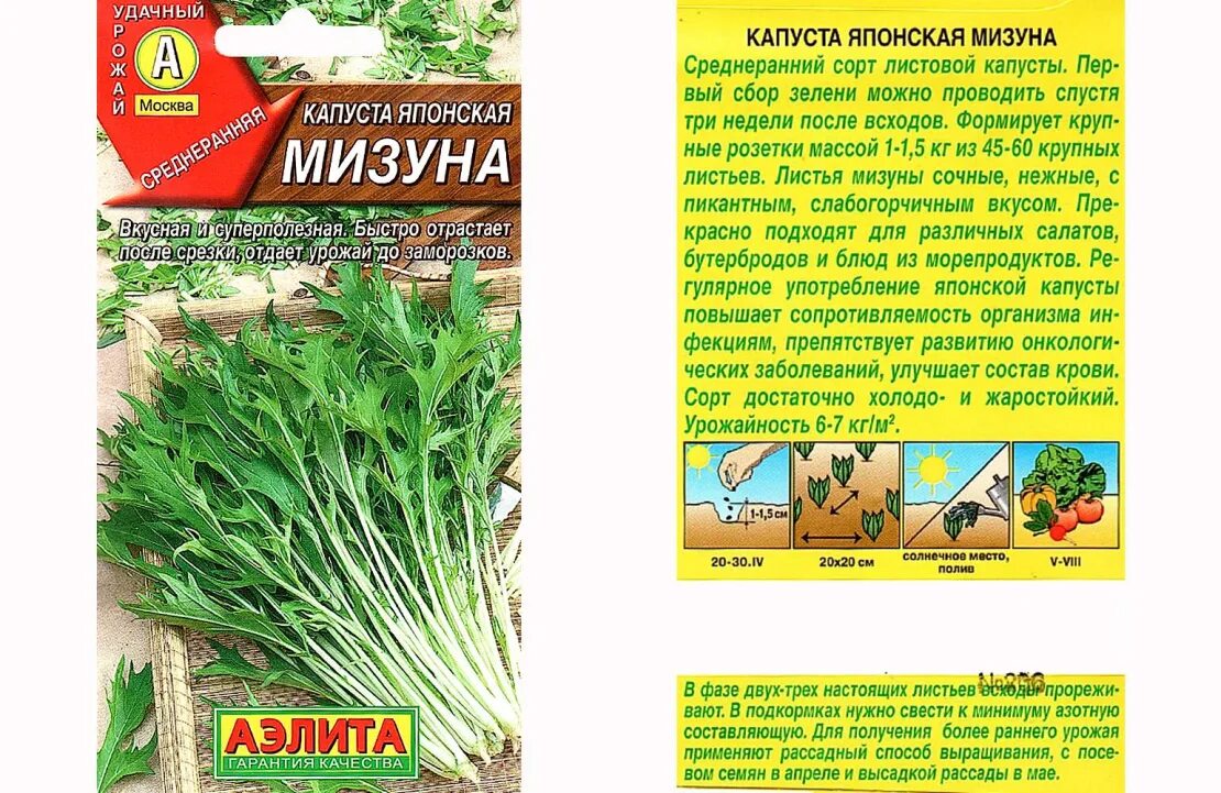 Капуста японская мизуна отзывы фото и описание Капуста мизуна выращивание
