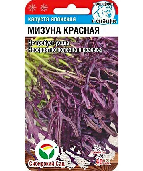 Капуста японская мизуна отзывы фото и описание Капуста Мизуна красная (японская) семена купить по низким ценам с доставкой в ин