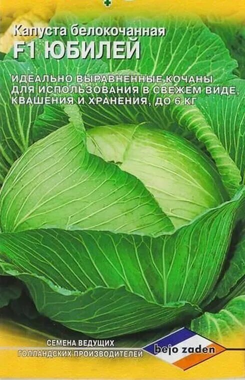 Капуста юбилейная описание сорта фото отзывы Капуста юбилейная - купить по низкой цене на Яндекс Маркете