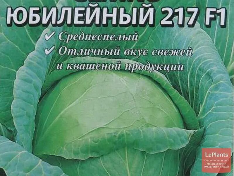 Капуста юбилейная описание сорта фото отзывы Капуста белокочанная 'Семко юбилейный 217 F1' - описание сорта, характеристики н