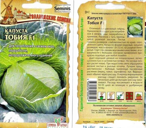 Капуста засолочная описание сорта фото Сорта капусты самые лучшие Lifestyle Селдон Новости