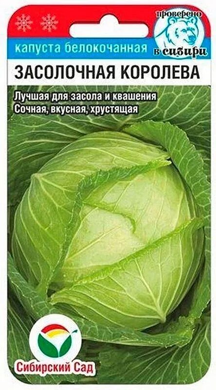 Капуста засолочная описание сорта фото Семена Капуста б/к Засолочная королева: описание сорта, фото - купить с доставко