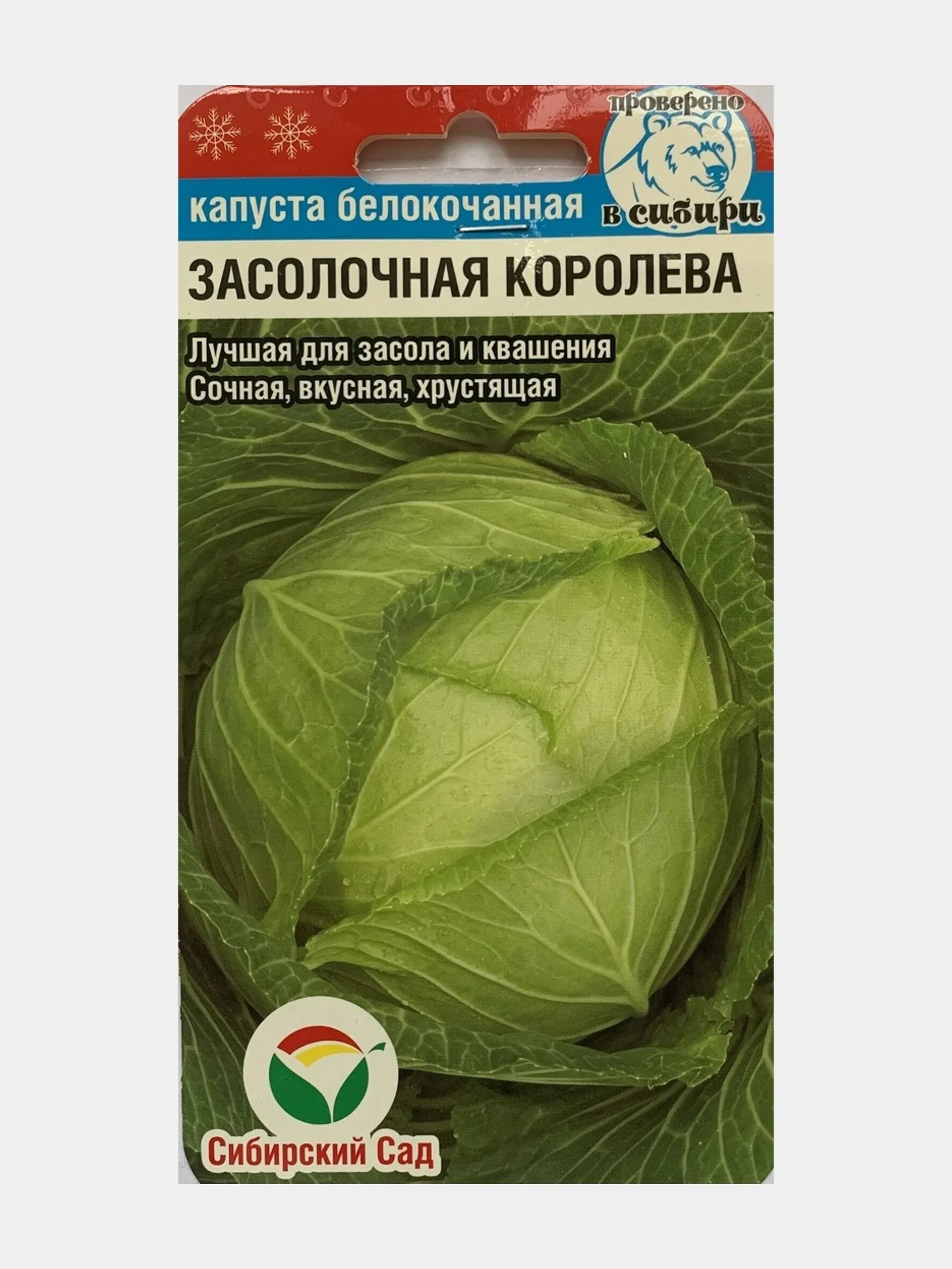 Капуста засолочная описание сорта фото Капуста засолочная eCookie.ru