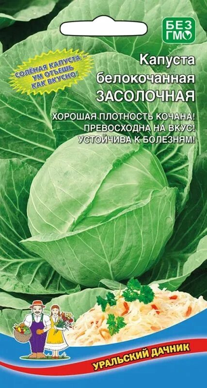 Капуста засолочная описание сорта фото Семена Капуста б/к Засолочная: описание сорта, фото - купить с доставкой или поч