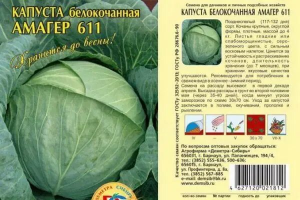 Капуста засолочная описание сорта фото Капуста Амагер 611: характеристика і опис сорту з фото